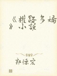 《权路多娇陈阳》小说