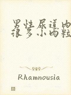 男性尿道内长了很多小肉粒