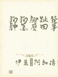 狗狗脚趾发炎红肿怎么回事