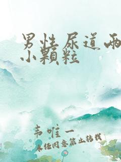 男性尿道两侧有小颗粒