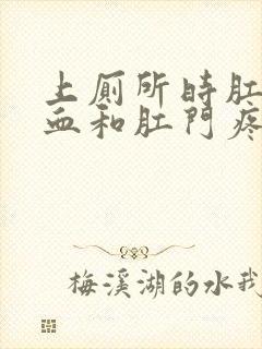 上厕所时肛门流血和肛门疼是怎么回事