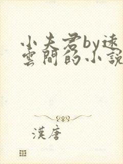 小夫君by远上云间的小说免费阅读