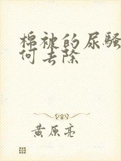 棉被的尿骚味如何去除