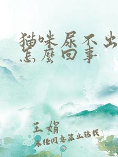 猫咪尿不出尿是怎么回事