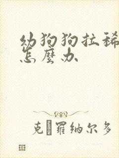 幼狗狗拉稀又吐怎么办