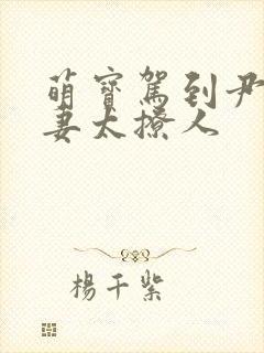 萌宝驾到尹少宠妻太撩人