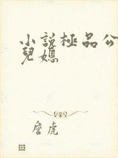 小说极品公公俏儿媳