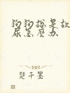 狗狗总是故意乱尿怎么办