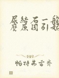 尿结石一般是什么原因引起的