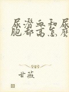 尿潜血和尿红细胞都高怎么回事