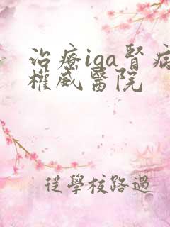 治疗iga肾病权威医院