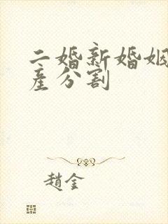 二婚新婚姻法房产分割