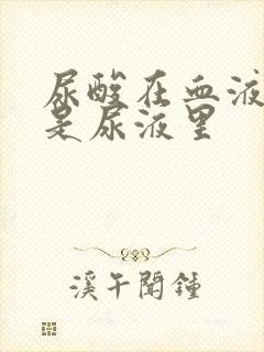 尿酸在血液里还是尿液里