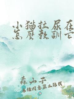 小猫拉尿在床上怎么教训它