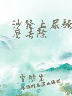 沙发上尿骚味怎么去除