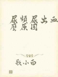 尿频尿出血是什么原因