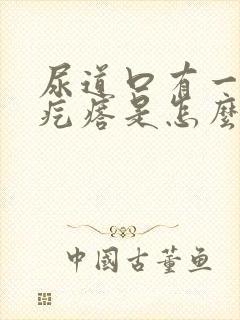 尿道口有一个肉疙瘩是怎么回事