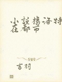 小说杨洛特种兵在都市