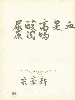 尿酸高是血浓的原因吗