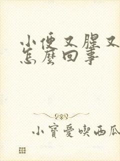 小便又腥又臭是怎么回事