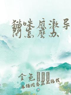 猫咪应激导致尿闭怎么办