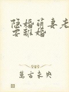 隐婚萌妻老公我要离婚