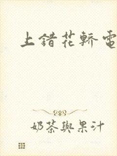 上错花轿电视剧