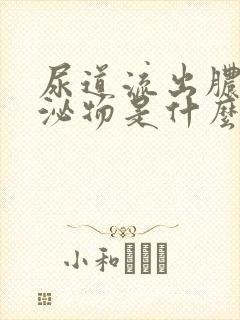 尿道流出脓状分泌物是什么原因