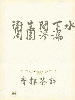 卫生间下水管道周围渗漏