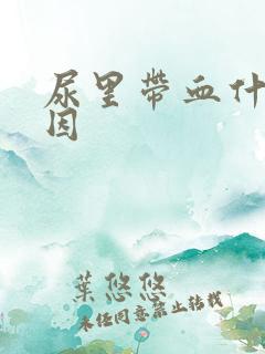 尿里带血什么原因