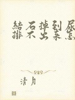 结石掉到尿道里排不出来怎么办