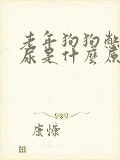 老年狗狗憋不住尿是什么原因