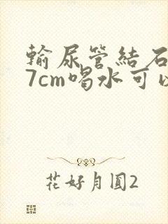 输尿管结石0.7cm喝水可以排除吗