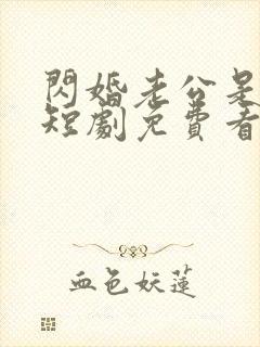 闪婚老公是豪门短剧免费看第一集