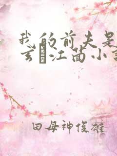 我的前夫是冥王玄燚江茴小说免费