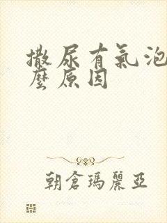 撒尿有气泡是什么原因