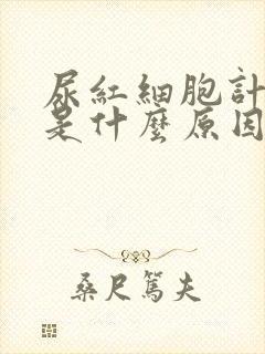 尿红细胞计数高是什么原因