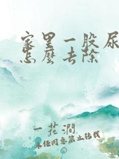 家里一股尿骚味怎么去除