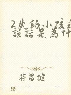 2岁的小孩还不说话是为什么