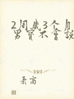 2周岁3个月了男宝不会说话