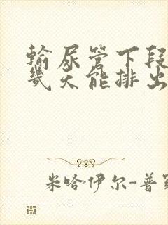 输尿管下段结石几天能排出来