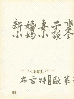 新婚妻子变成了小妈小说全文阅读