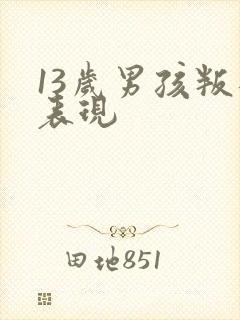 13岁男孩叛逆表现