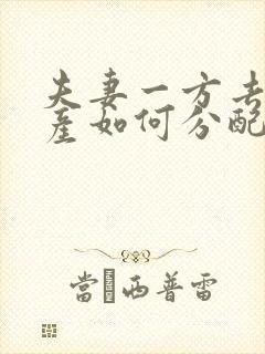 夫妻一方去世遗产如何分配