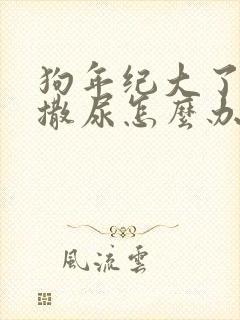 狗年纪大了在家撒尿怎么办