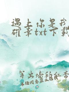 遇上你是我的小确幸txt下载