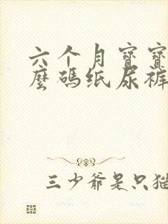 六个月宝宝用什么码纸尿裤