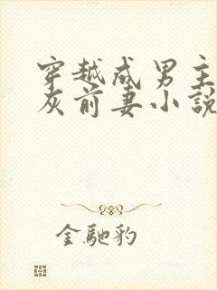 穿越成男主的炮灰前妻小说