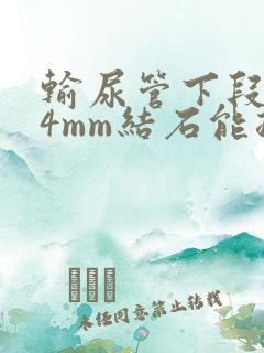 输尿管下段0.4mm结石能排出吗