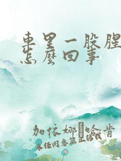 车里一股腥臭味怎么回事